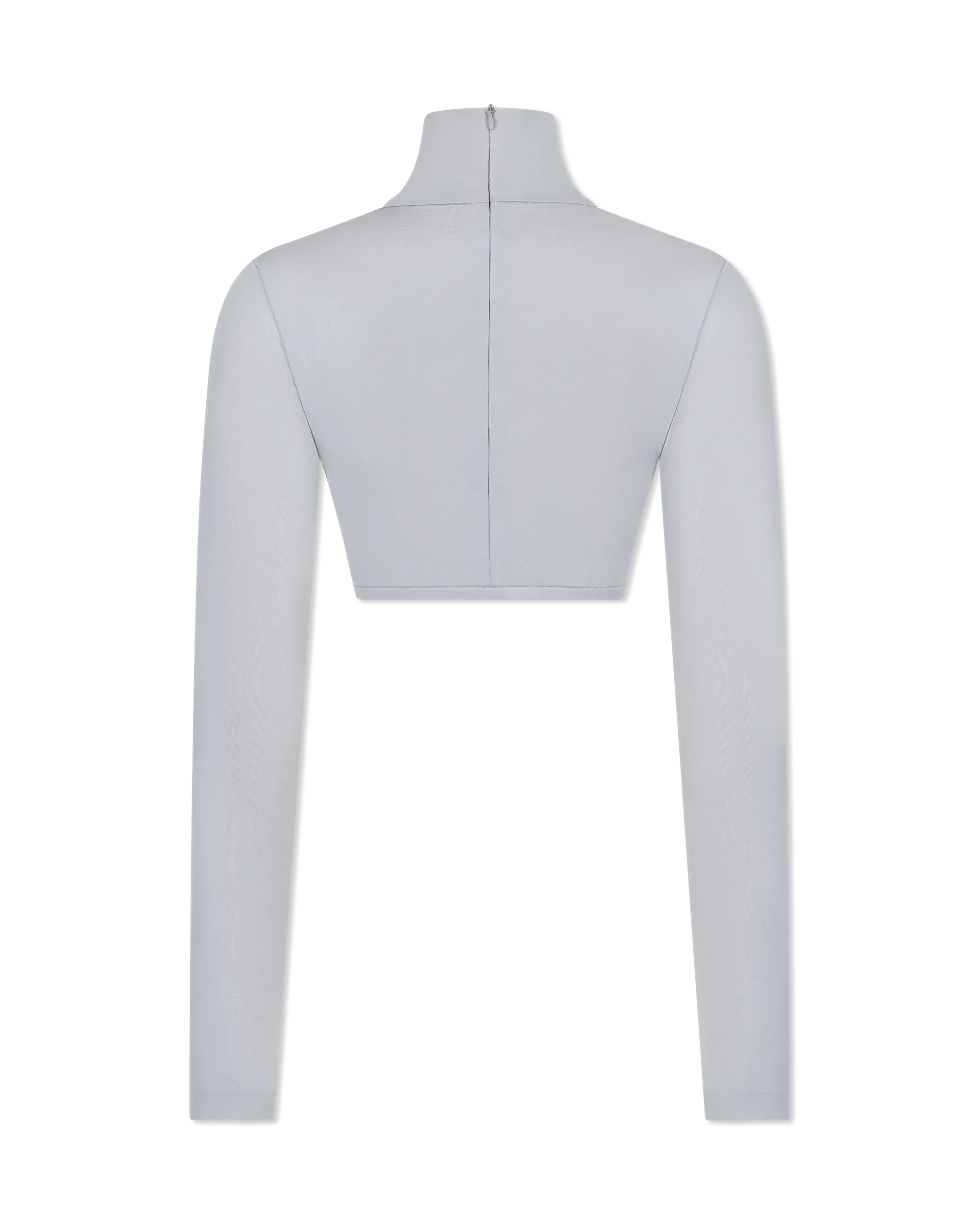 Cropped Long Sleeve Turtle Top