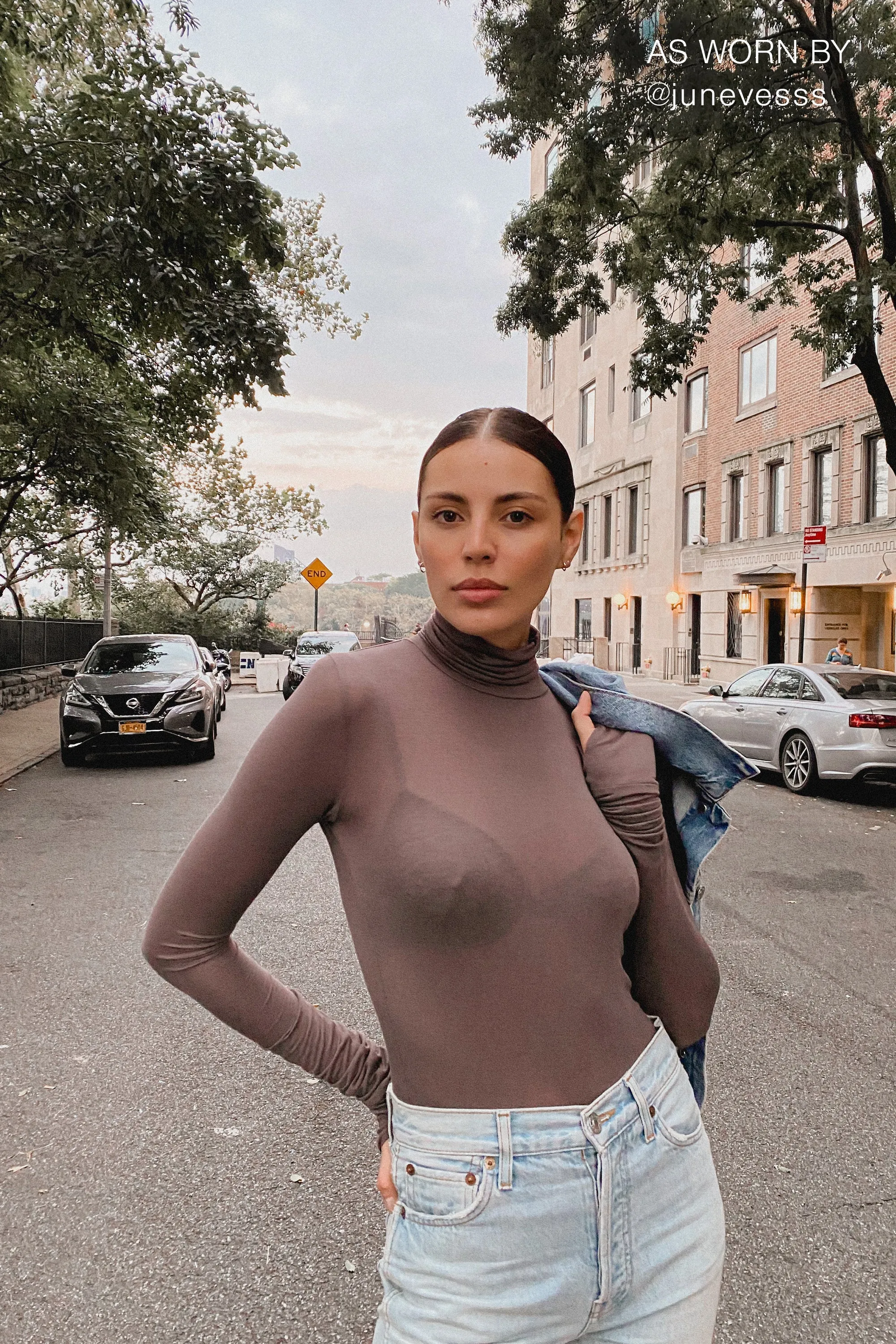 Eloise Sheer Turtleneck