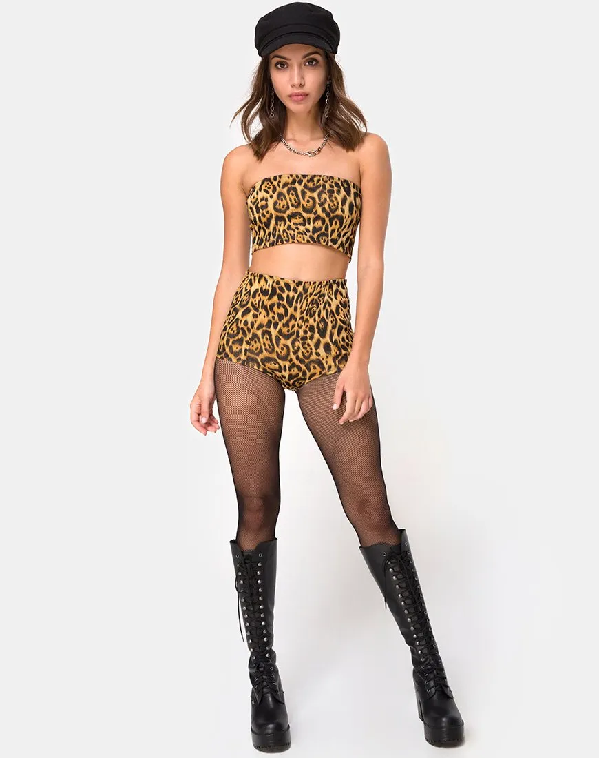 Hilly High Waist Hot Pant in Leopard