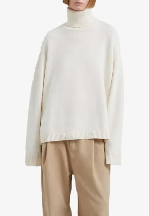 Rhea Trapeze Turtleneck Sweater