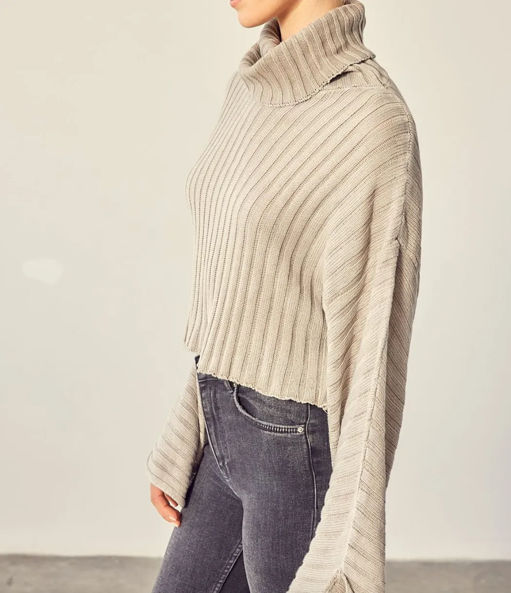 Rib Turtleneck Sweater
