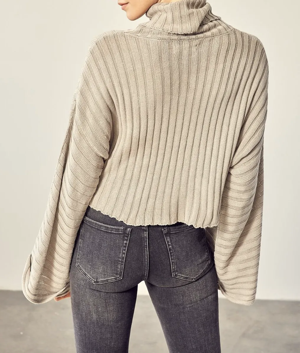 Rib Turtleneck Sweater
