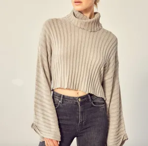 Rib Turtleneck Sweater